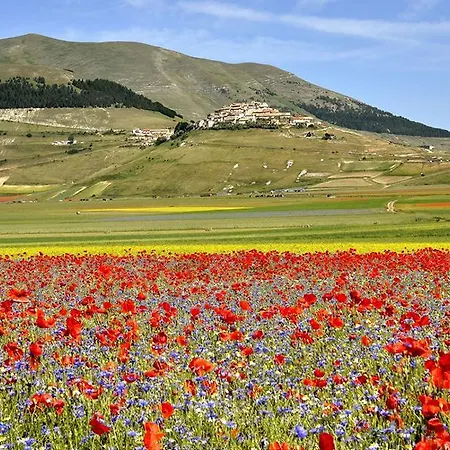 Camping Sibilla * Montefortino